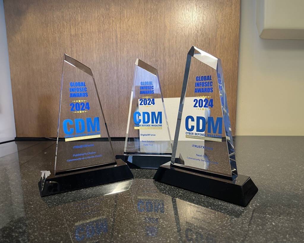 Illustration from the DigitalXForce article "DigitalXForce and iTRUSTXForce Win Three 2024 Global InfoSec Awards"