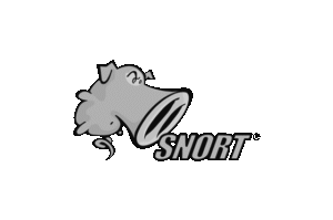 Snort logo, a DigitalXForce technology integration