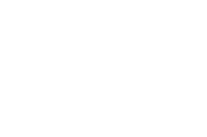 Deel logo, a DigitalXForce technology integration