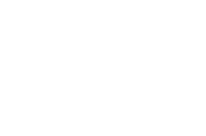 Pipedrive logo, a DigitalXForce technology integration